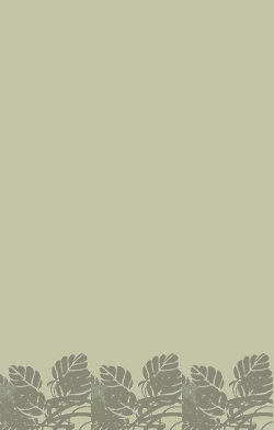 card-name-9915