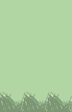 card-name-6662