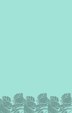 card-name-3943