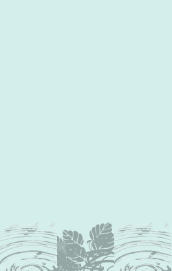 card-name-6652