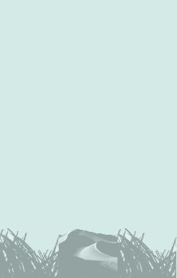 card-name-4952