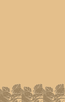 card-name-10527