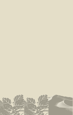 card-name-6586