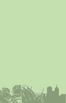 card-name-6578
