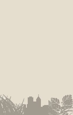 card-name-9413