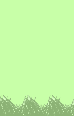 card-name-9675