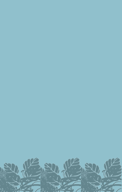 card-name-3374