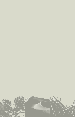 card-name-11010