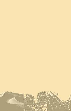 card-name-4801