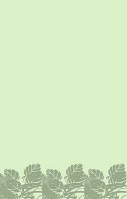 card-name-4740