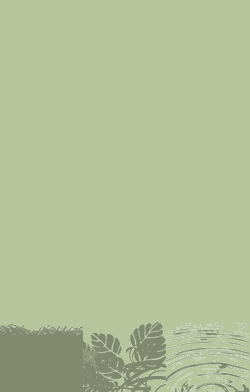card-name-3467