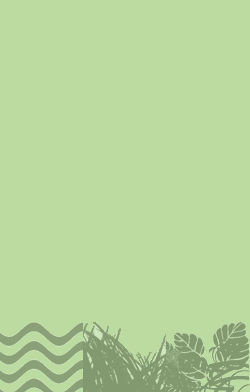card-name-3011
