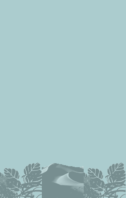 card-name-10037