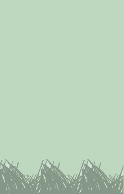 card-name-519