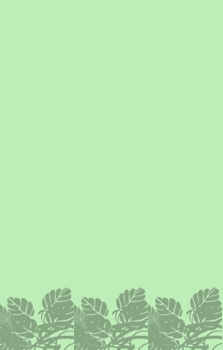 card-name-2554