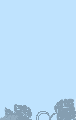 card-name-16469