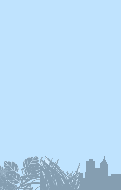card-name-16131