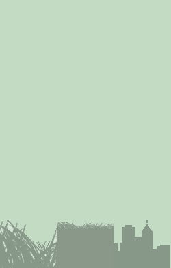 card-name-4786