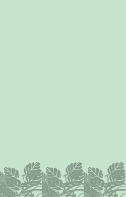 card-name-3027