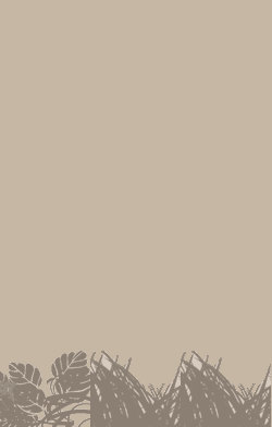 card-name-3373
