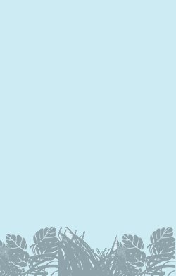 card-name-4045