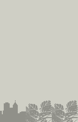 card-name-3298