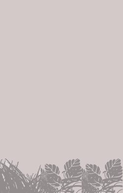 card-name-3774