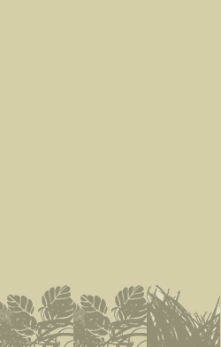 card-name-3008