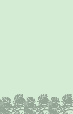card-name-15888