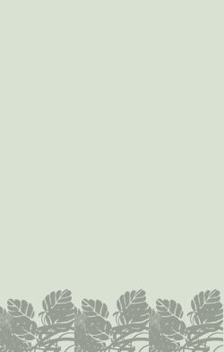 card-name-2869