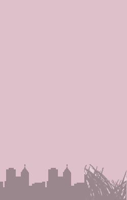 card-name-6597