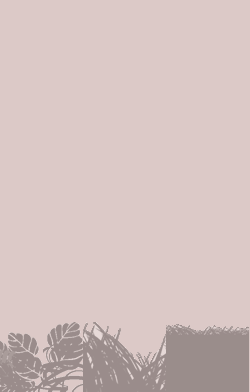 card-name-3633