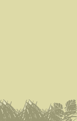 card-name-15613