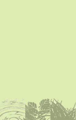 card-name-9595