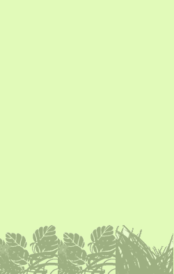 card-name-15925