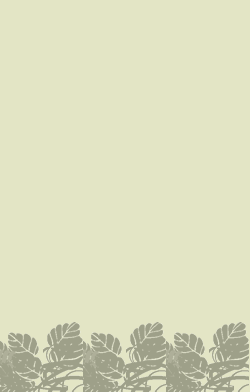 card-name-4288