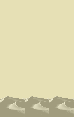 card-name-2927