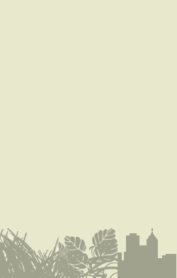 card-name-52