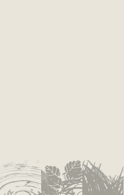 card-name-3933