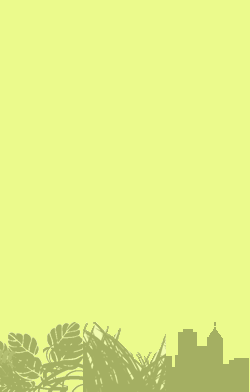 card-name-15937