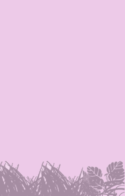 card-name-104