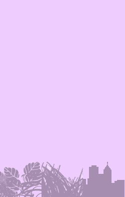card-name-127