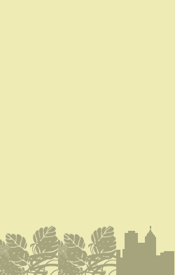 card-name-3924