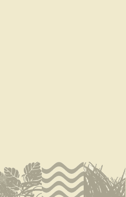 card-name-2537