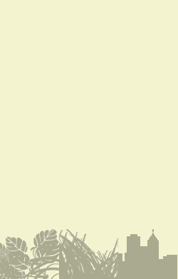 card-name-15929