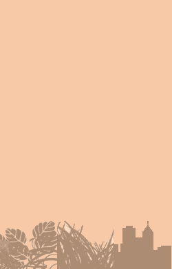 card-name-1667