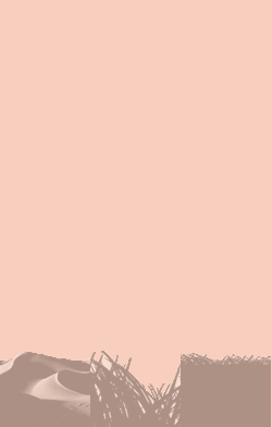 card-name-4748