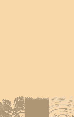 card-name-15917