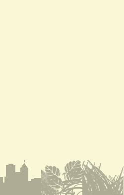 card-name-124
