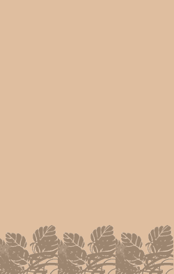 card-name-9597